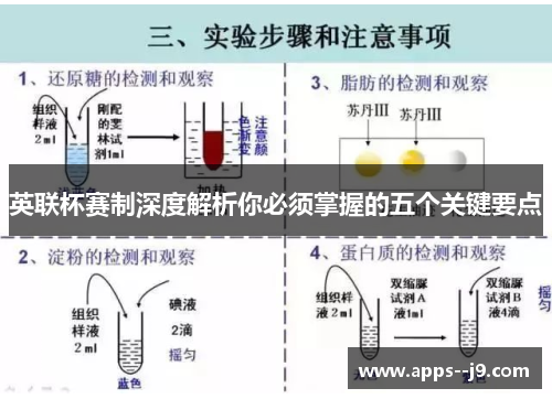 英联杯赛制深度解析你必须掌握的五个关键要点