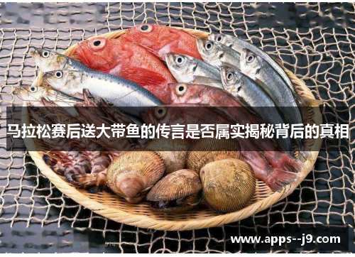 马拉松赛后送大带鱼的传言是否属实揭秘背后的真相