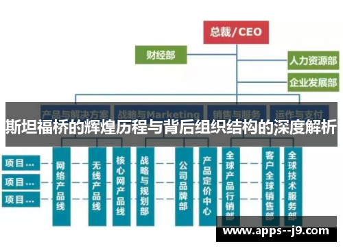 斯坦福桥的辉煌历程与背后组织结构的深度解析