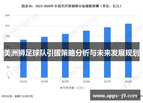 美洲狮足球队引援策略分析与未来发展规划