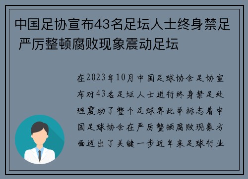 中国足协宣布43名足坛人士终身禁足 严厉整顿腐败现象震动足坛